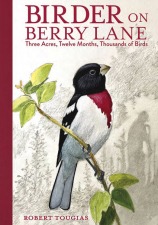 ‘Birder on Berry Lane’ Birder-Berry-Lane.jpg