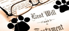 Estate Planning for Your Pet Last-Will-and-Testament-Paw.jpg