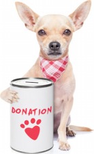 You can't take it with you: Charity and your estate charity-dog-525342959.jpg