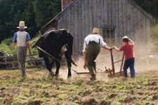 September 2008 in the Valley boy-plowing-at-osv---300-dp.jpg