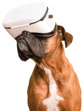 Tech and pets DogTech.jpg