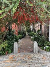 Charmed  by  Charleston pedestrian-walk.jpg