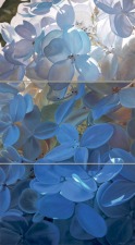 Get Your Art On! valentine_hydrangea.jpg