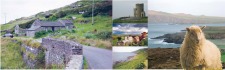 Uncovering the Hidden Beauty of Ireland Prime-CtrSpread-Ireland.jpg